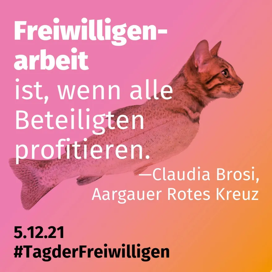 freiwilligenarbeit aargau rotes kreuz